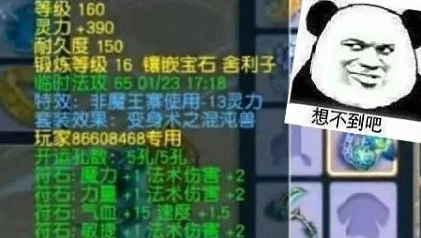 iPhone16真机上手,澳门天天开奖结果记录下载最新,决策资料解释落实_免费版V6.43