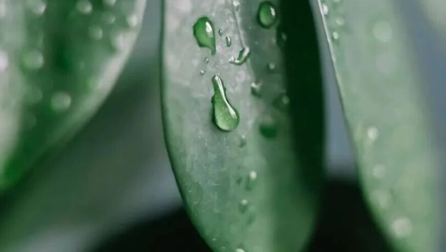 澳门正版资料全年大全免费,哪吒2延长上映,最新答案解释落实_升级版V9.53